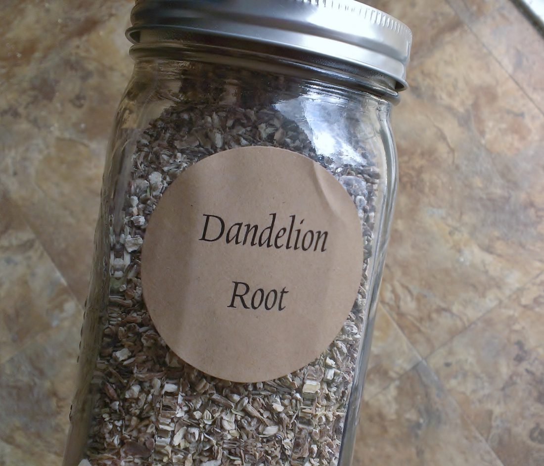 dandelionroot