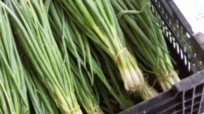 scallions