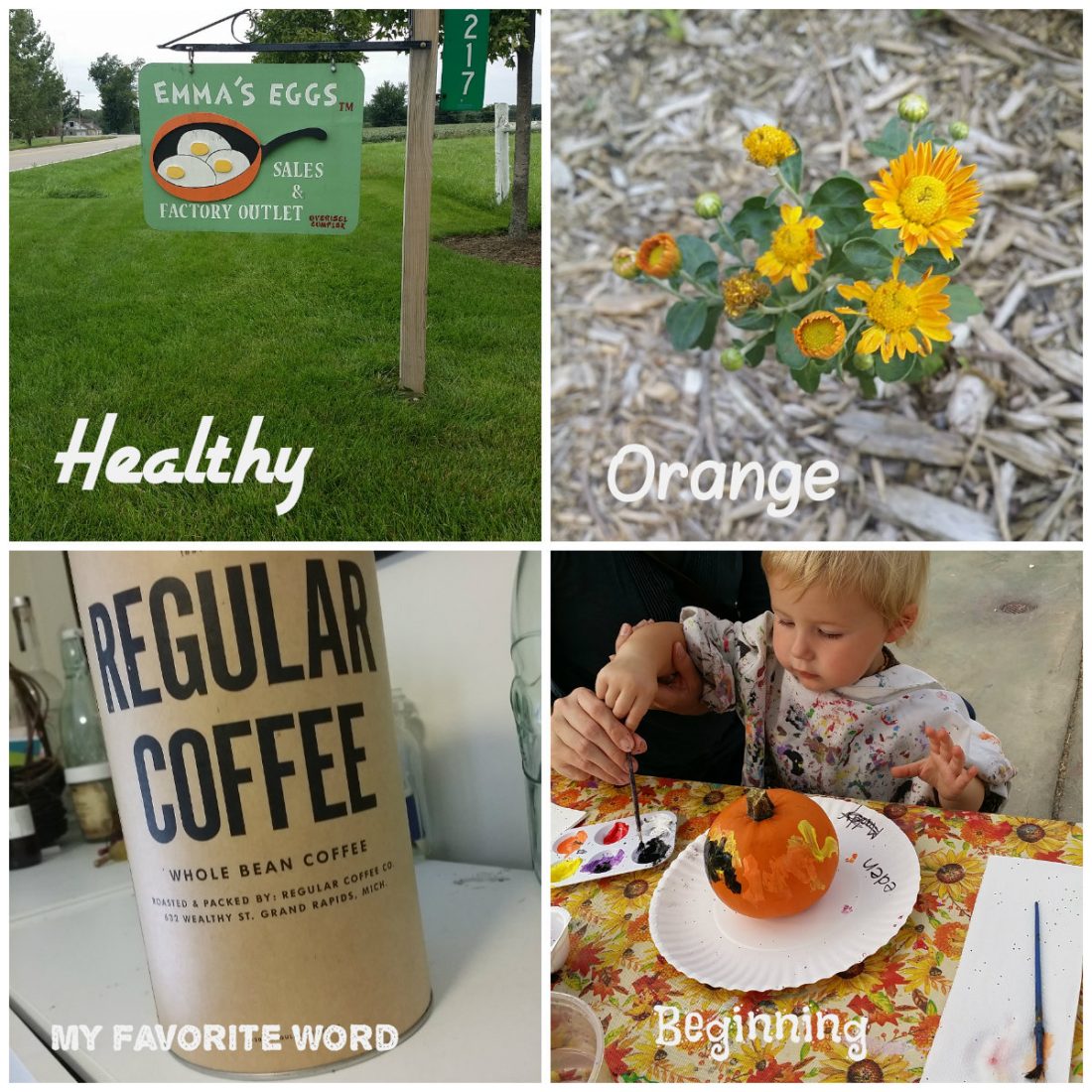 Some of my September #fmsphotoaday pics
