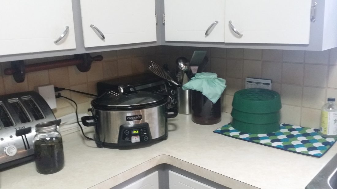 Saturday in my kitchen: Nourishing infusion, bone broth, kombucha, and sprouts.