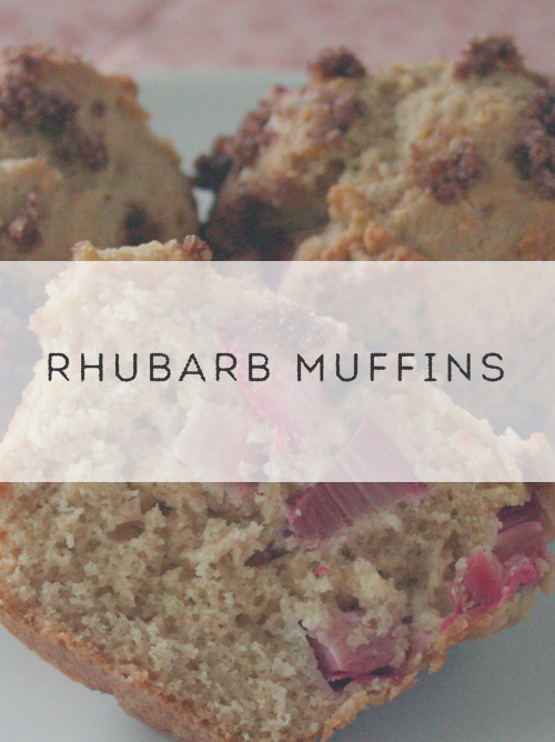 rhubarbmuffins