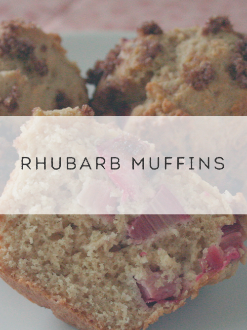 Best Ever Rhubarb Muffins {Fresh Fruit Muffins!} - The Busy Baker