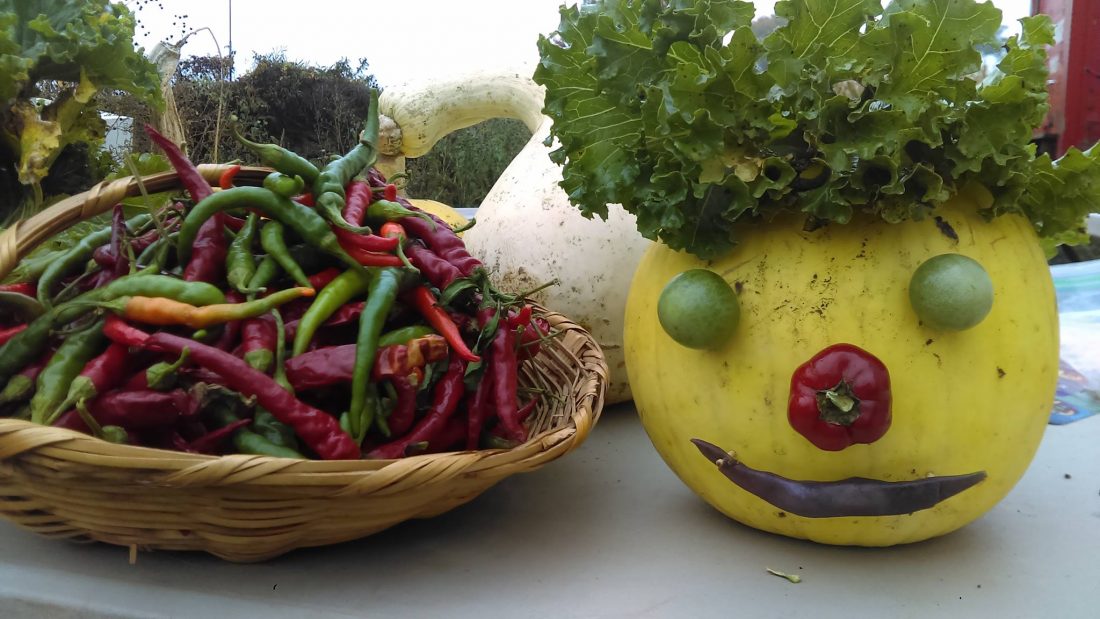 Image courtesy Groundswell Community Farm